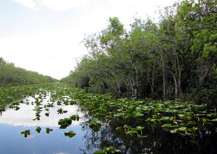 Everglades Tours from Fort Lauderdale